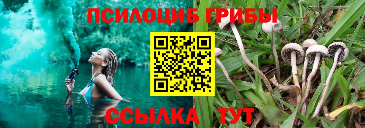 Ижевск  купить закладку  Вход с VPN  Псилоцибиновые грибы прущие грибы 